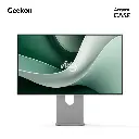 Geekonagentcase